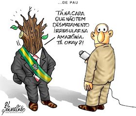 Desmatamento na Amazônia cai 61% em janeiro