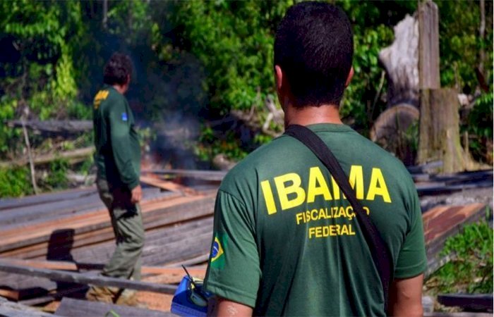 COMO O IBAMA PERDEU MAIS DE 1 BILHÃO DE REAIS