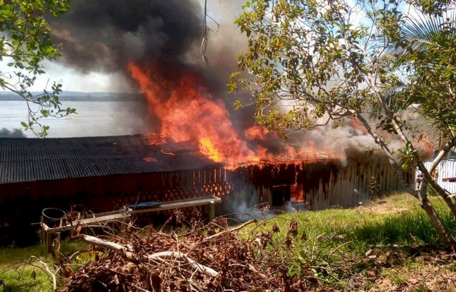 Quatro garimpeiros são mortos em ação da PRF na terra indígena Yanomami