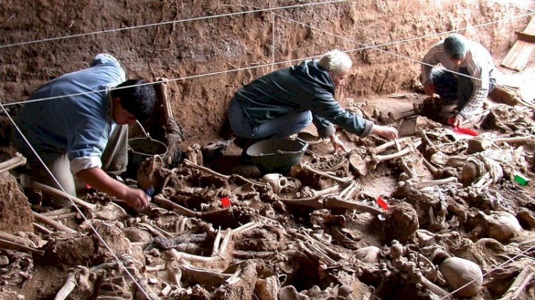 Documentos inéditos indicam que Crematório da Vila Alpina foi planejado para ocultar cadáveres da ditadura