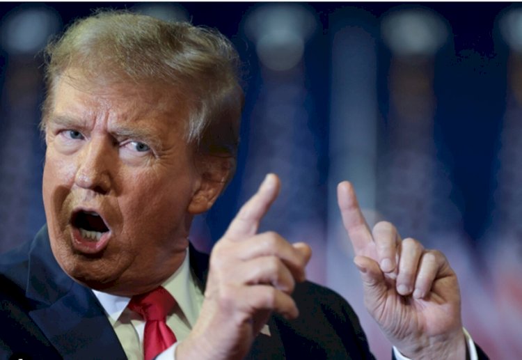 Trump mente sobre tarifas do Brasil. EUA faturaram R$ 315 bi com país em 10 anos