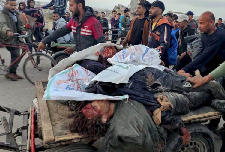 Israel abre fogo contra multidão faminta em Rafah e deixa 31 mortos e 170 feridos