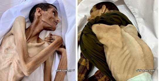 Estudo vinculado a Harvard descobre que Israel fez desaparecer quase 400.000 palestinos em Gaza (metade deles crianças) | The Cradle 